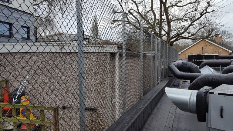 20170202_133334 (Large)